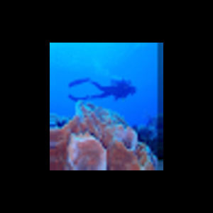 Meet your Posher, Anita